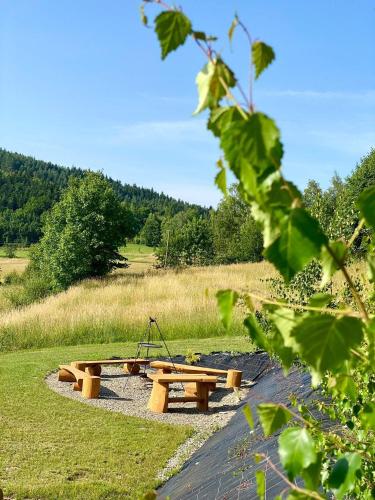 a picnic table in the middle of a field at Rajski Zakątek - jeden domek na działce z gorącą balią i mini ZOO in Kamionka Wielka