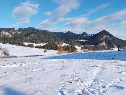 a snow covered field with mountains in the background at Agroturystyka Pod Zamczyskiem in Sromowce Wyżne