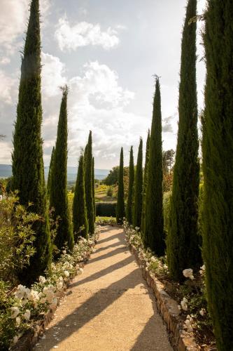 a path through a garden with trees and bushes at Coquillade Provence - Relais & Châteaux in Gargas