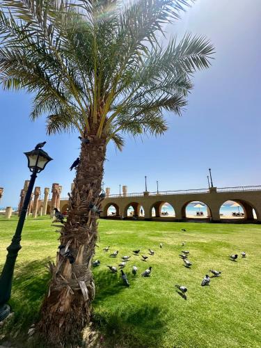 El Andalous Sea View Apartment Sahl Hasheesh