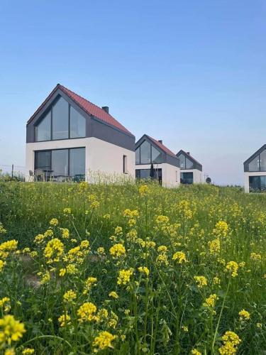 a house on a hill with a field of yellow flowers at Rybical 42 in Rybical