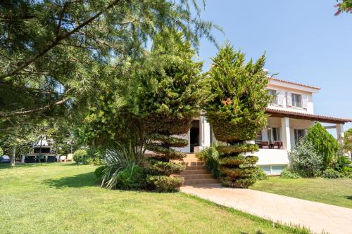 a house with a tree in front of it at Beautiful Summer Villa in Chalkoutsi in Khalkoútsion