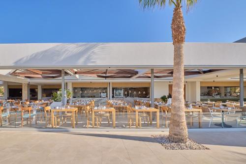 a restaurant with tables and chairs and a palm tree at Paralos Kosta Alímia in Hersonissos