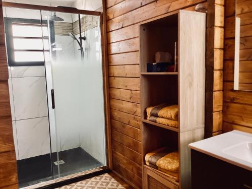 圣若瑟Bungalow cosy, tout confort的带淋浴和水槽的浴室
