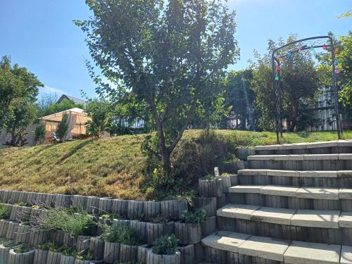 a set of concrete stairs with a tree on a hill at Cazare La Luiza b in Şura Mare