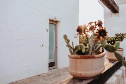 a cactus in a pot sitting on a wall at Masseria Torrepietra in Monopoli