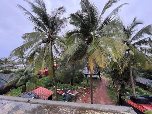 a group of palm trees on a dirt road at Hotel Saffron Baga in Baga