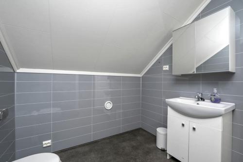 un bagno con lavandino e WC di Velkommen Til Vakre Kvinesdal a Kvinesdal