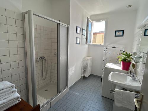 a white bathroom with a shower and a sink at le Jardin d'Odette in Yèvres-le-Petit