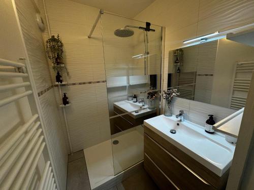 Ένα μπάνιο στο Appartement central - ORLEANS