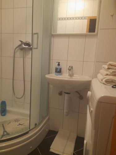 a white bathroom with a sink and a shower at Apartmani, prenoćište Ana in Tomislavgrad