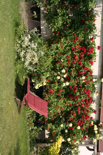 a red bench in front of a bush of flowers at Pension Villa Beer in Stralsund