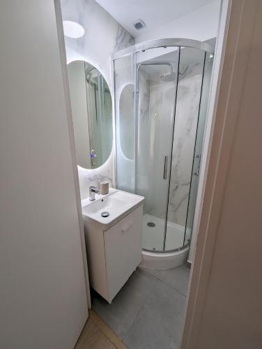 une salle de bain blanche avec une douche et un lavabo dans l'établissement Studio cosy tout équipé proche de Genève, à Viry