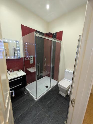 a bathroom with a shower and a toilet and a sink at Buccleuch and Queensberry Arms Hotel in Thornhill