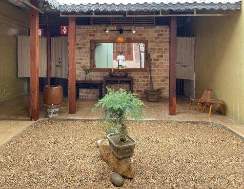 a living room with a tv and a potted plant at Trại Hoa Vàng Homestay at Phú Yên in Ðông Tác (1)