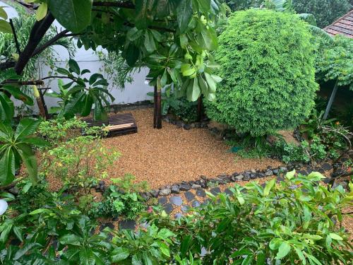 a garden with a bench and some bushes and trees at Trại Hoa Vàng Homestay at Phú Yên in Ðông Tác (1)