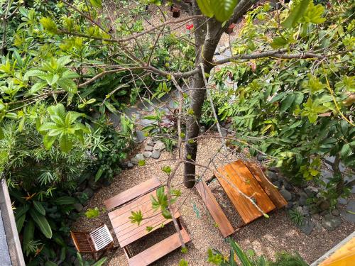 a wooden bench sitting on the ground next to a tree at Trại Hoa Vàng Homestay at Phú Yên in Ðông Tác (1)