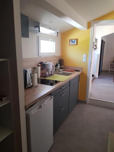 une cuisine avec un évier et une cuisinière four supérieur dans l'établissement appartement sur les toits, à Montpellier