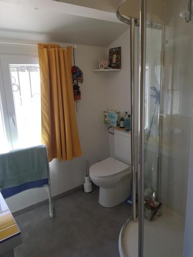 une salle de bain avec toilettes et douche dans l'établissement appartement sur les toits, à Montpellier