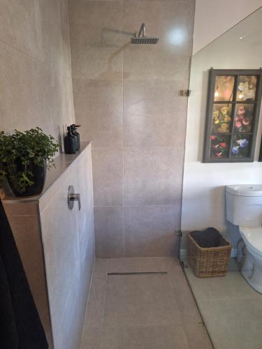 a bathroom with a shower and a toilet at Rooiheuwel Cottage in Wellington