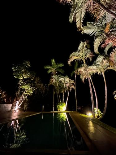 a night view of a pool with palm trees at Mirante do Lago in Capitólio