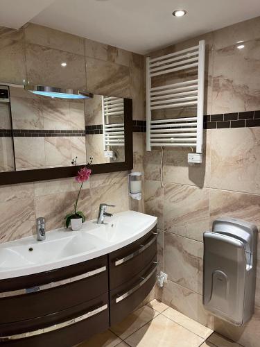 une salle de bain avec un lavabo et un miroir dans l'établissement Le Relais De La Poste, à Pithiviers