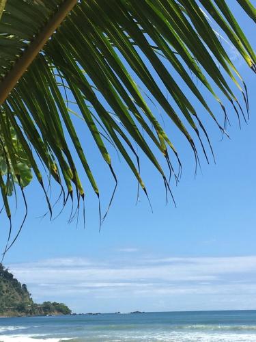 a view of the beach from under a palm tree at The Wavefront Beachfront Condo In Bejuco in Bejuco