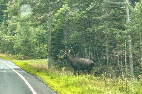 EastonにあるEaston Valley Mountain Villaのギャラリーの写真