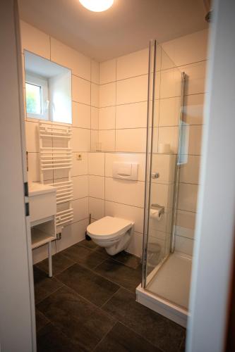 a bathroom with a toilet and a glass shower at Hotel Kolonieschänke in Burg