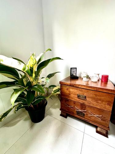 a room with a wooden dresser and a potted plant at House of Sincerity in Maharagama