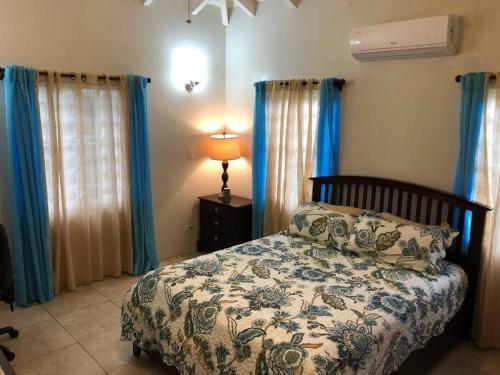 a bed in a bedroom with blue curtains and a lamp at Falmouth Sea View Loft in Falmouth