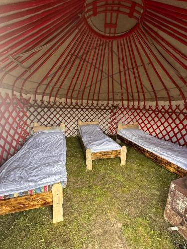 Fotografie z fotogalerie ubytování Yurt camp Visit Kol-Suu v destinaci Kol-Suu