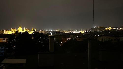 Huge 2 bedroom flat with stunning view - close to Sziget