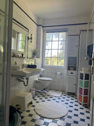 a bathroom with a sink and a toilet and a mirror at Landhaus am See Flecken Zechlin in Rheinsberg
