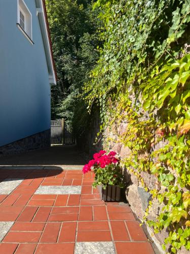 a brick walkway with flowers in a pot next to a wall at Landhaus am See Flecken Zechlin in Rheinsberg