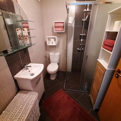 a bathroom with a shower and a toilet and a sink at Studio Apartment with Pool View, Sunny Beach in Sunny Beach