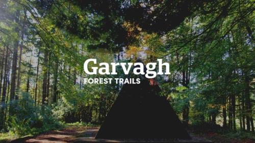 a picture of a forest with the words canyon forest trails at Forest View Cottage - Private Hot Tub in Ballynameen