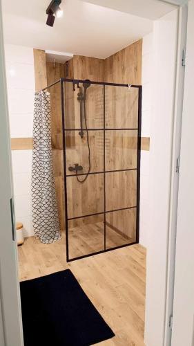 a shower in a room with a wooden wall at Apartamenty Chęciny in Chęciny