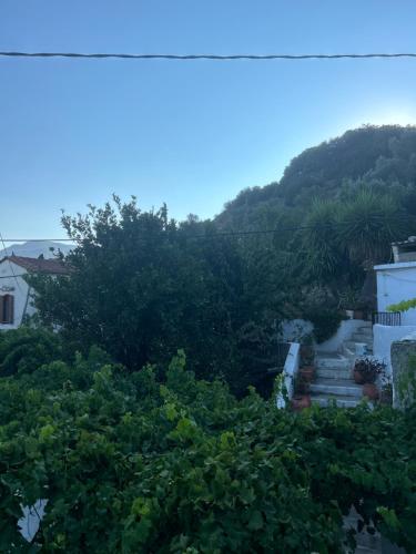 Cảnh núi rừng hoặc tầm nhìn ra núi từ căn hộ