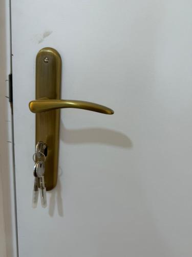 a wooden door with keys hanging on it at Apartamento Alfama - Lisbon in Lisbon