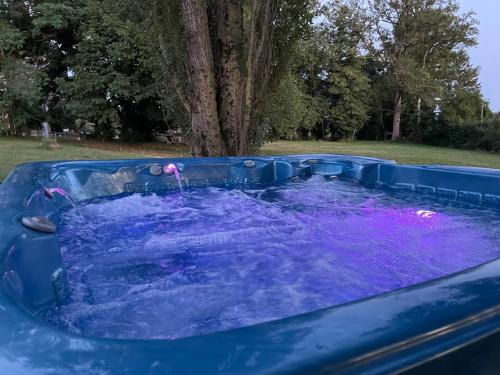 a blue hot tub filled with purple water at Gite de Fleur - Chateau du Grand Luçay in Bourbon-lʼArchambault