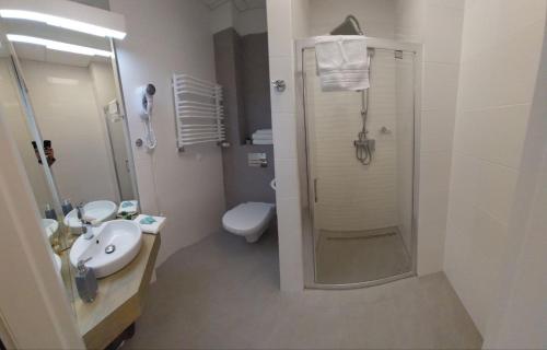 a bathroom with a shower and a sink and a toilet at Zlatarooms in Warsaw