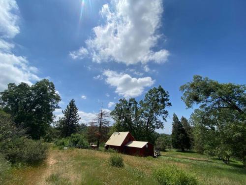 Gambar di galeri bagi Blue Oak Red Cabin di Dunlap