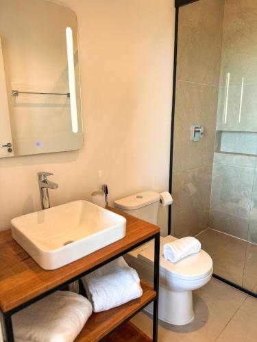 a bathroom with a sink and a toilet and a shower at Rancho Churrascada in Espirito Santo Do Pinhal