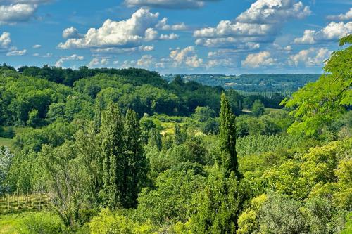 - une vue sur une zone boisée avec des arbres dans l'établissement Au Cœur de GENSAC, village de charme dominant la Dordogne, à Gensac