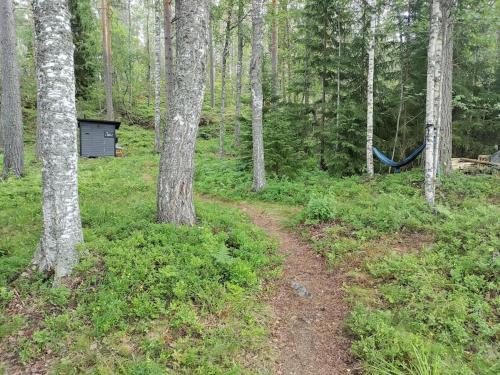 a dirt trail in the woods with a hammock at Viihtyisä mökki järven rannalla in Sysmä