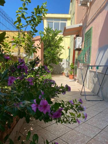 Κήπος έξω από το Lemon House