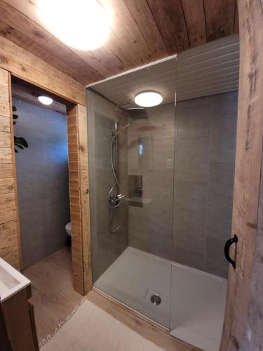 a shower with a glass door in a bathroom at Rustig gelegen chalet Solvo met terras aan het water in Geel