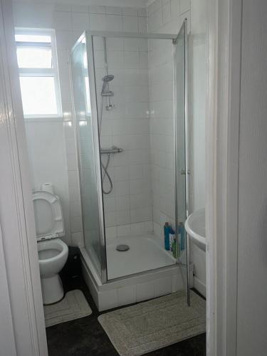 a bathroom with a shower with a toilet and a sink at Cosy 1 Bedroom Bungalow Between Basildon & Wickford in Nevendon