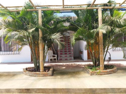 a group of palm trees in front of a building at Hostería del Puerto in Puerto López